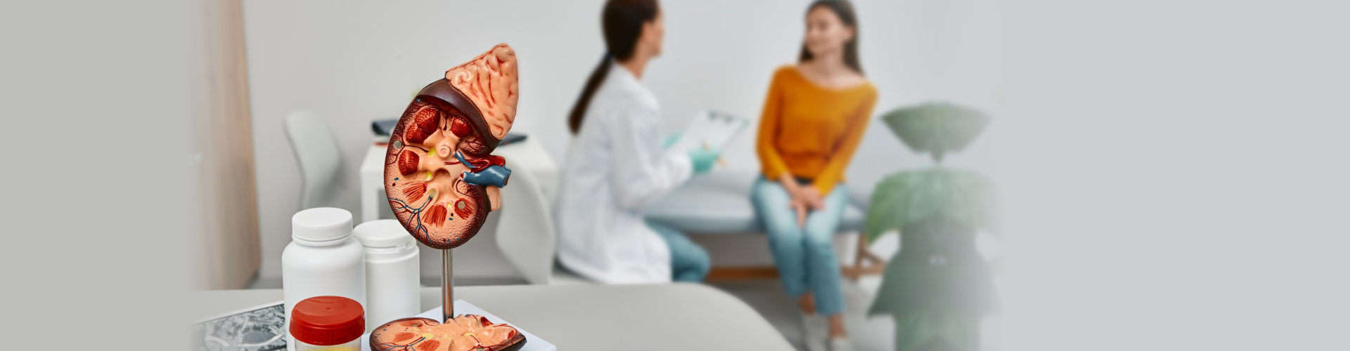 Collecting urine to tests and treatment of kidney diseases at urology